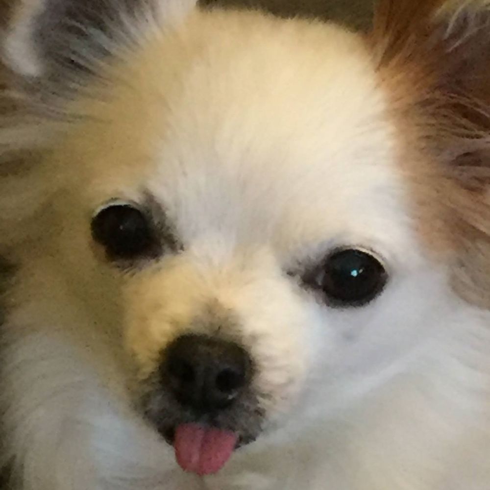 Meet your Posher, Mary